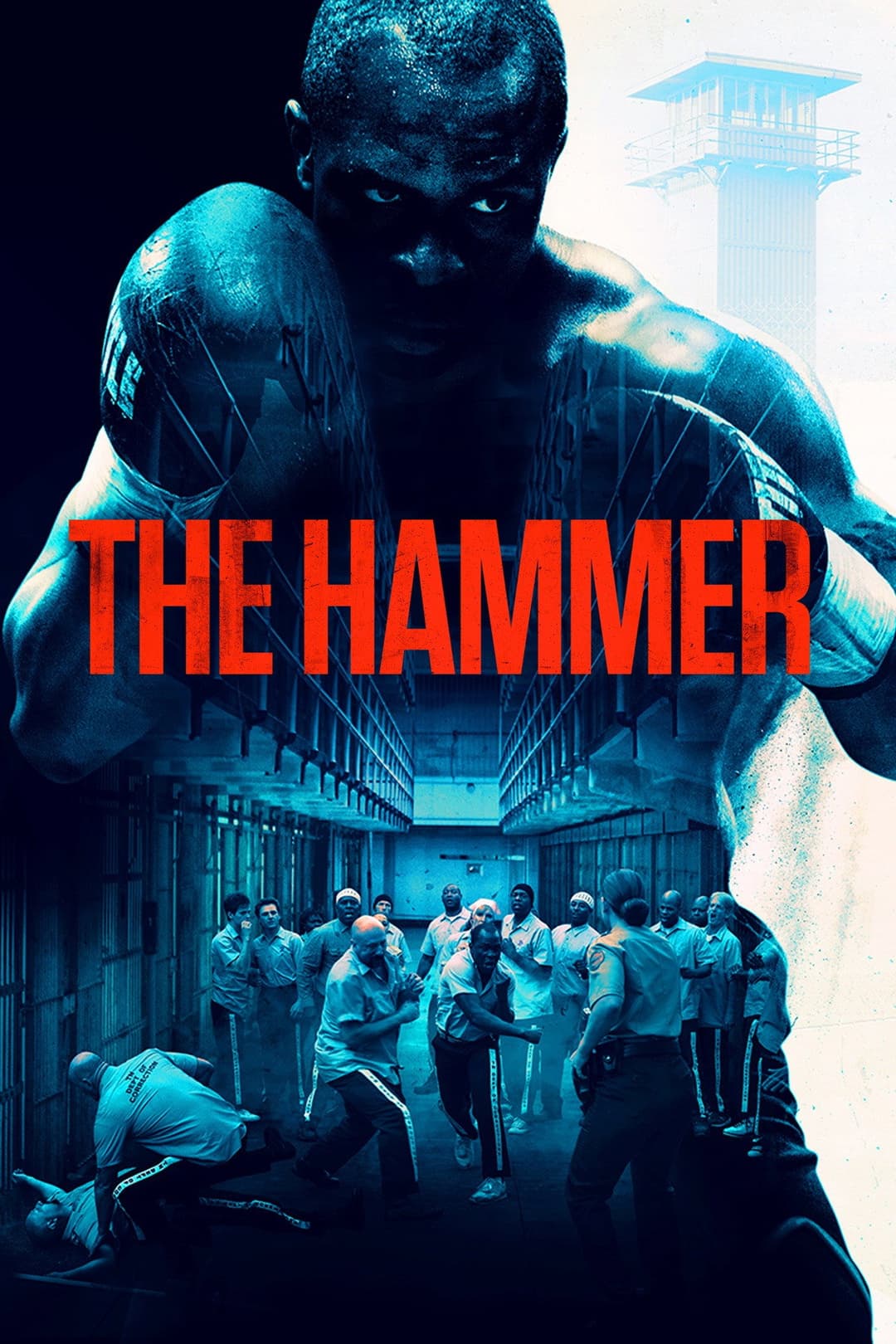 Poster di The Hammer