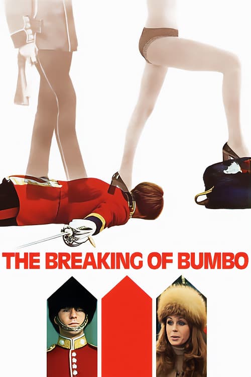 Poster di The Breaking of Bumbo