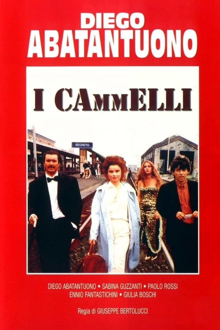 Poster di I cammelli