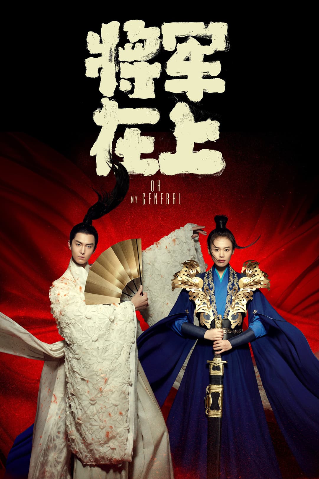 Poster di 将军在上