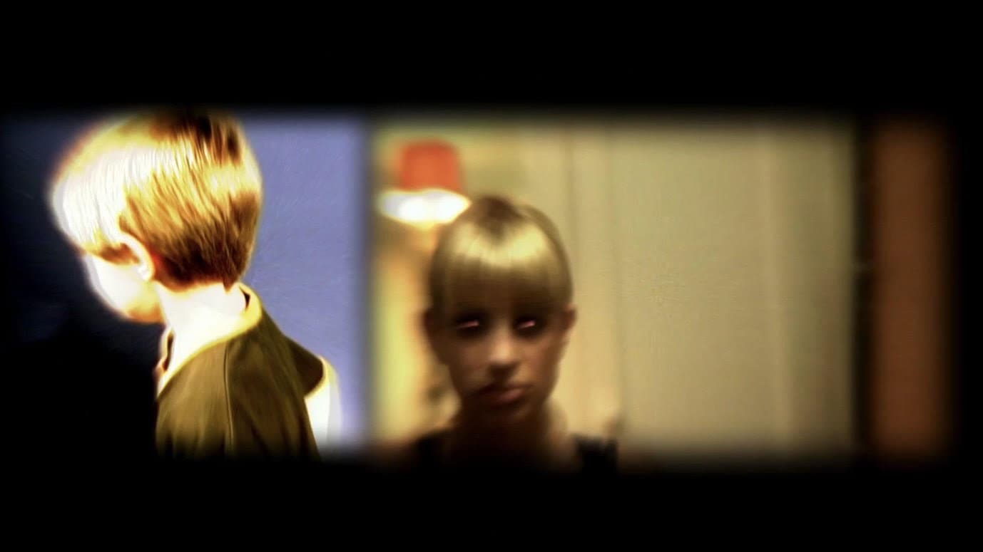 All Flowers in Time - immagine