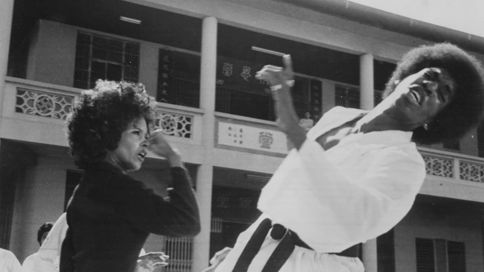 TNT Jackson - La furia di Harlem - immagine