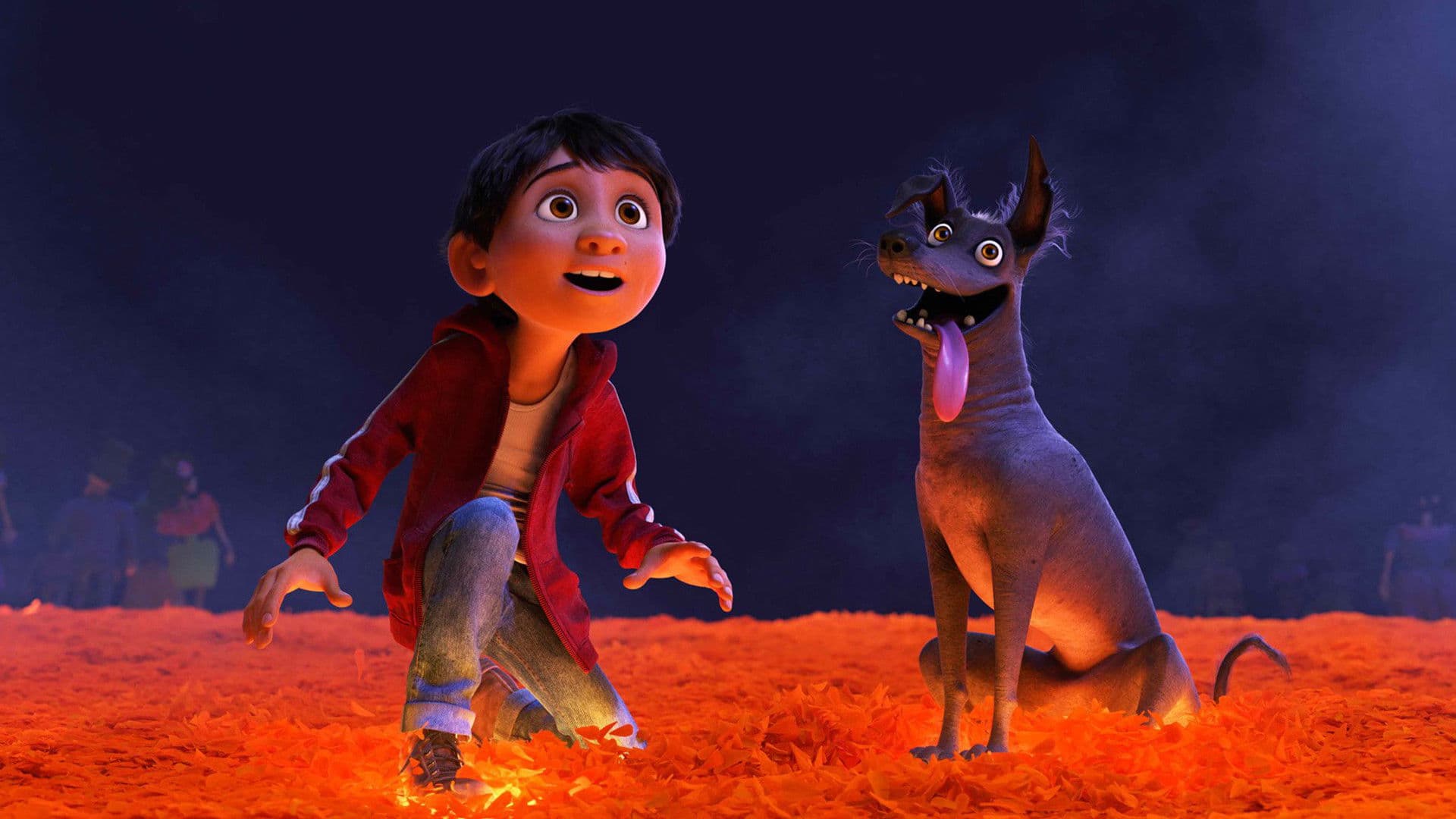 Coco - immagine