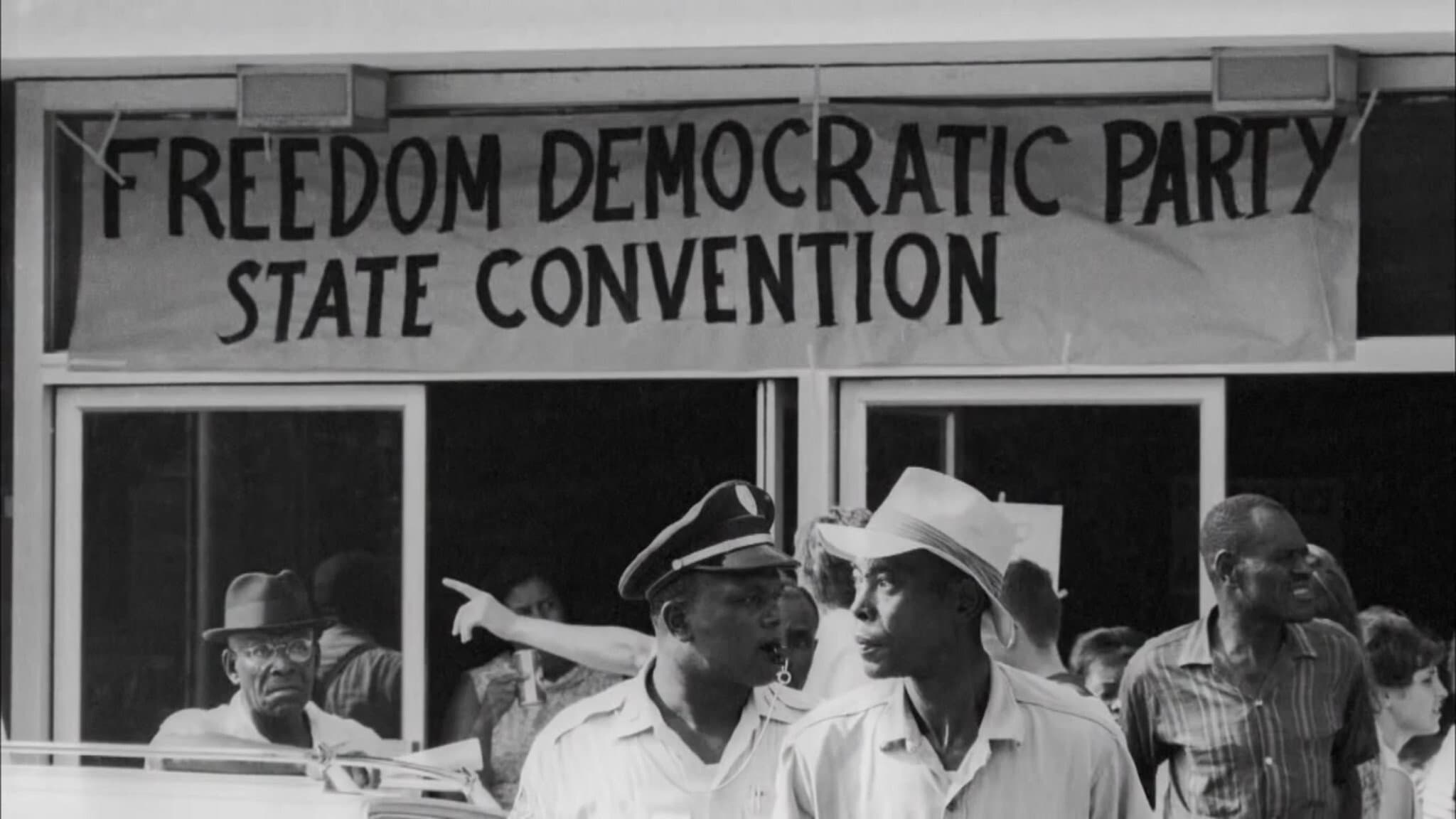 Freedom Summer - immagine