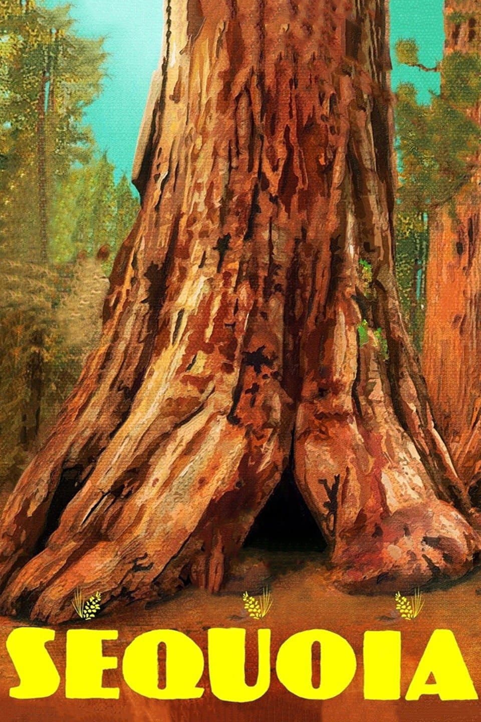 Poster di Sequoia