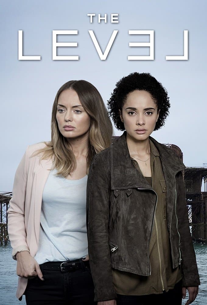 Poster di The Level