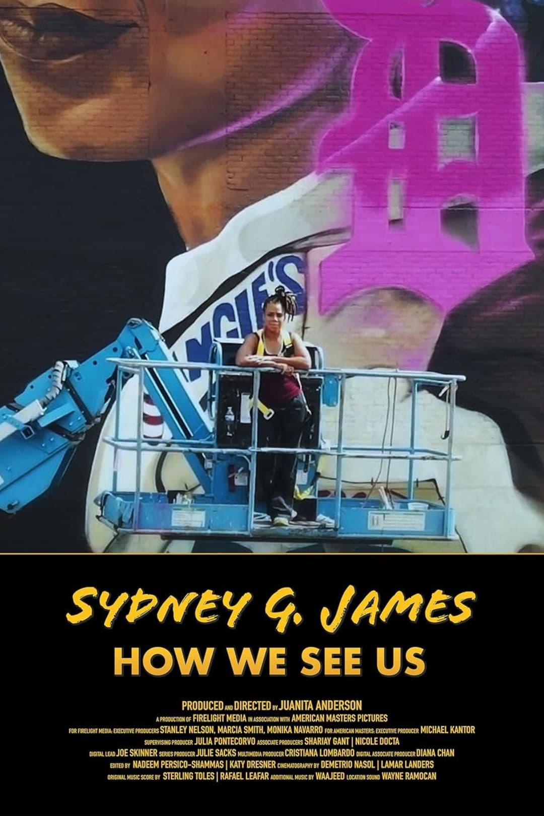 Poster di Sydney G. James: How We See Us
