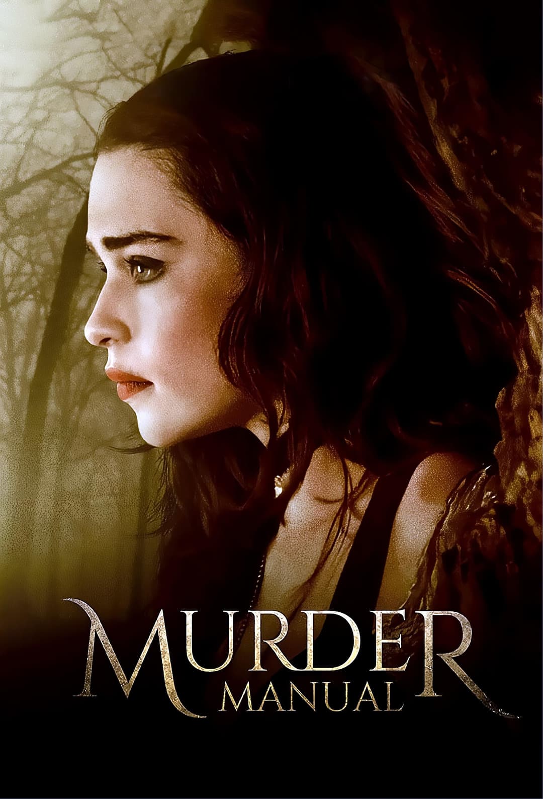 Poster di Murder Manual