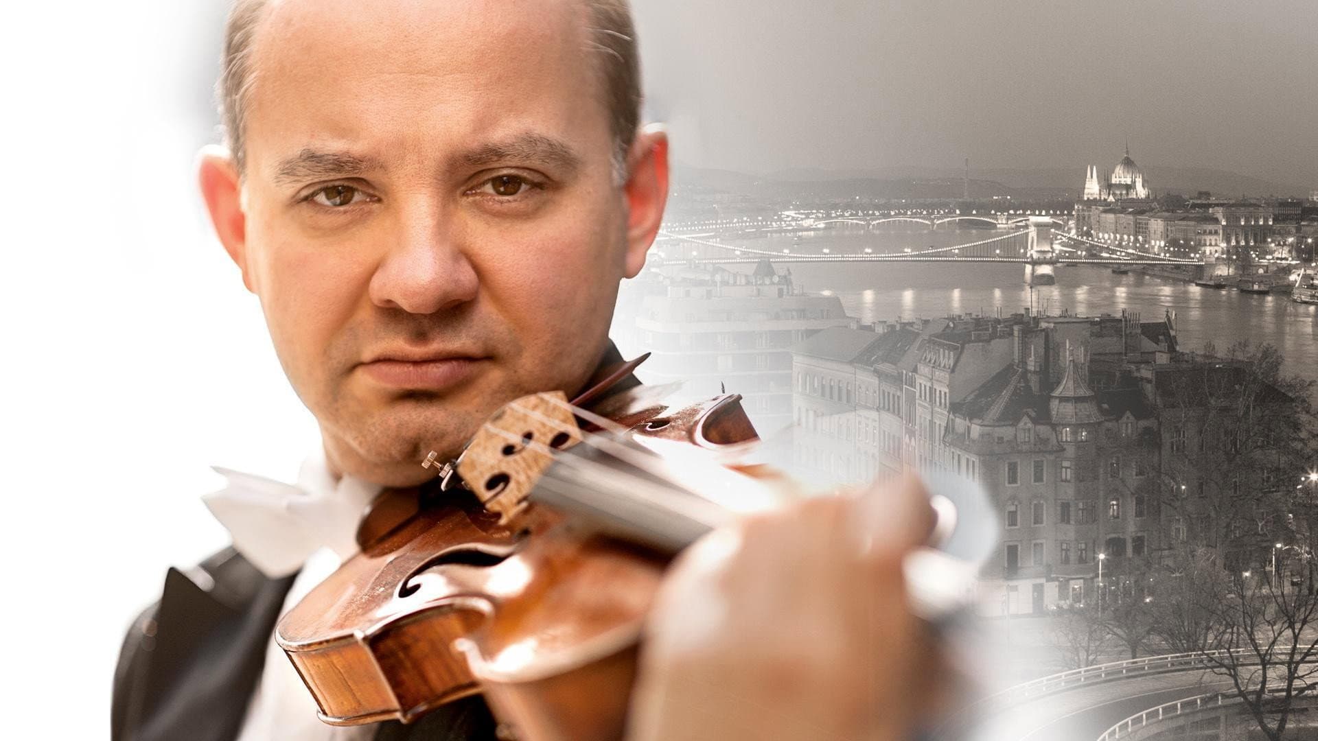 The Violin Alone - immagine