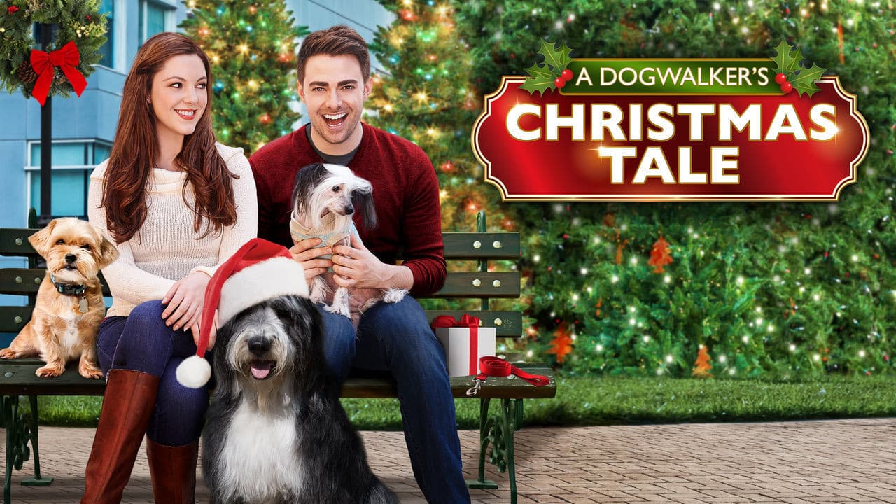 A Dogwalker's Christmas Tale - immagine