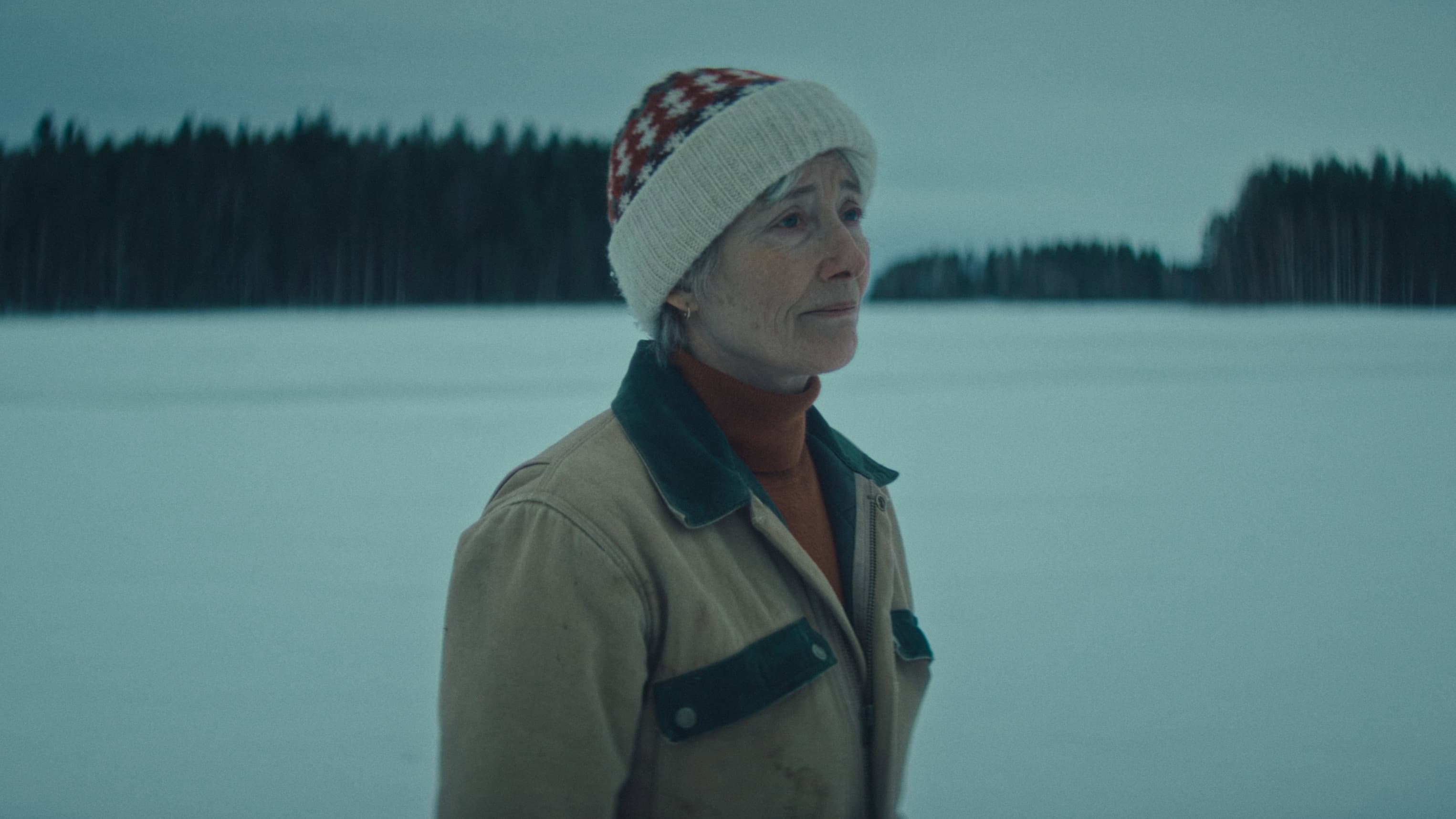 Dead of Winter: Sfida nel gelo - immagine