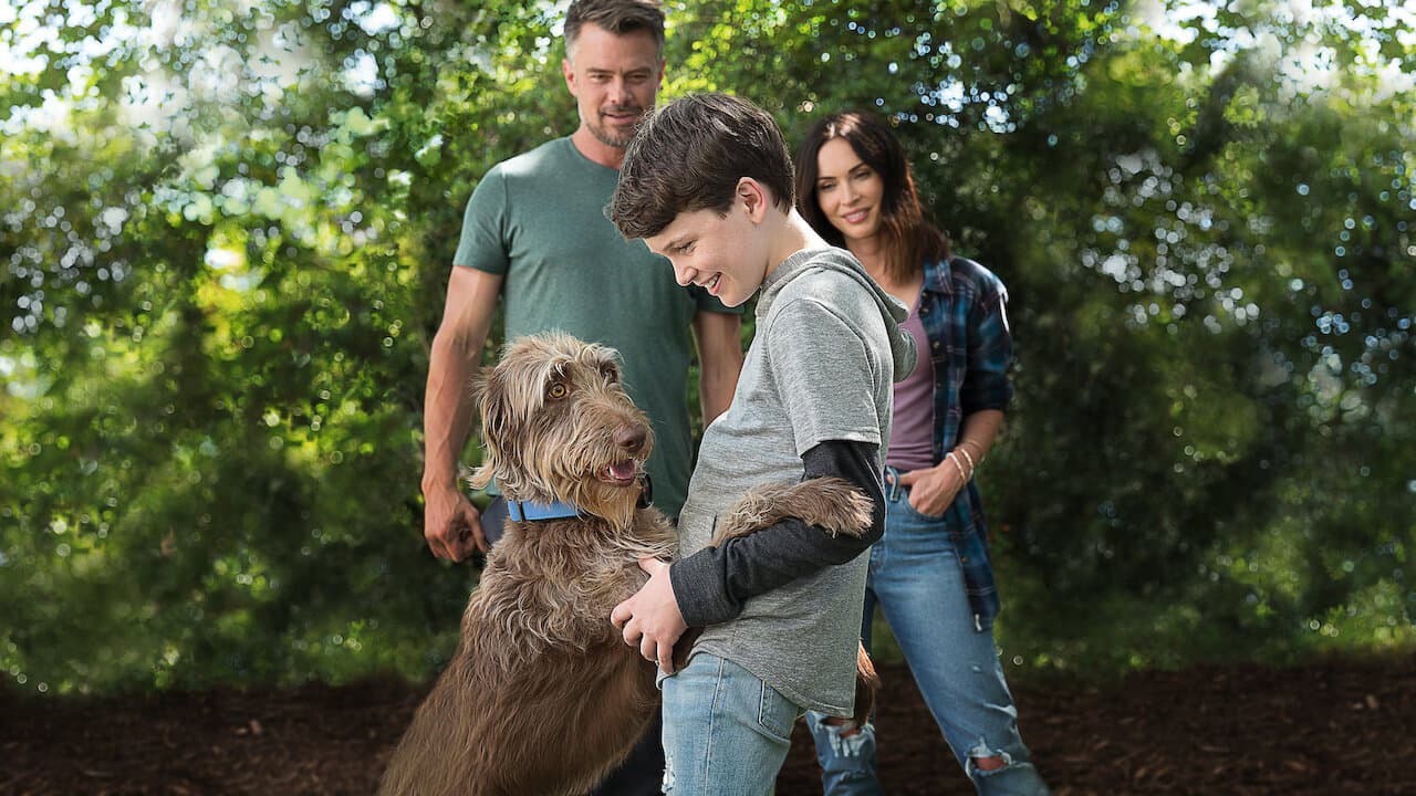 Henry, ti presento Oliver - immagine