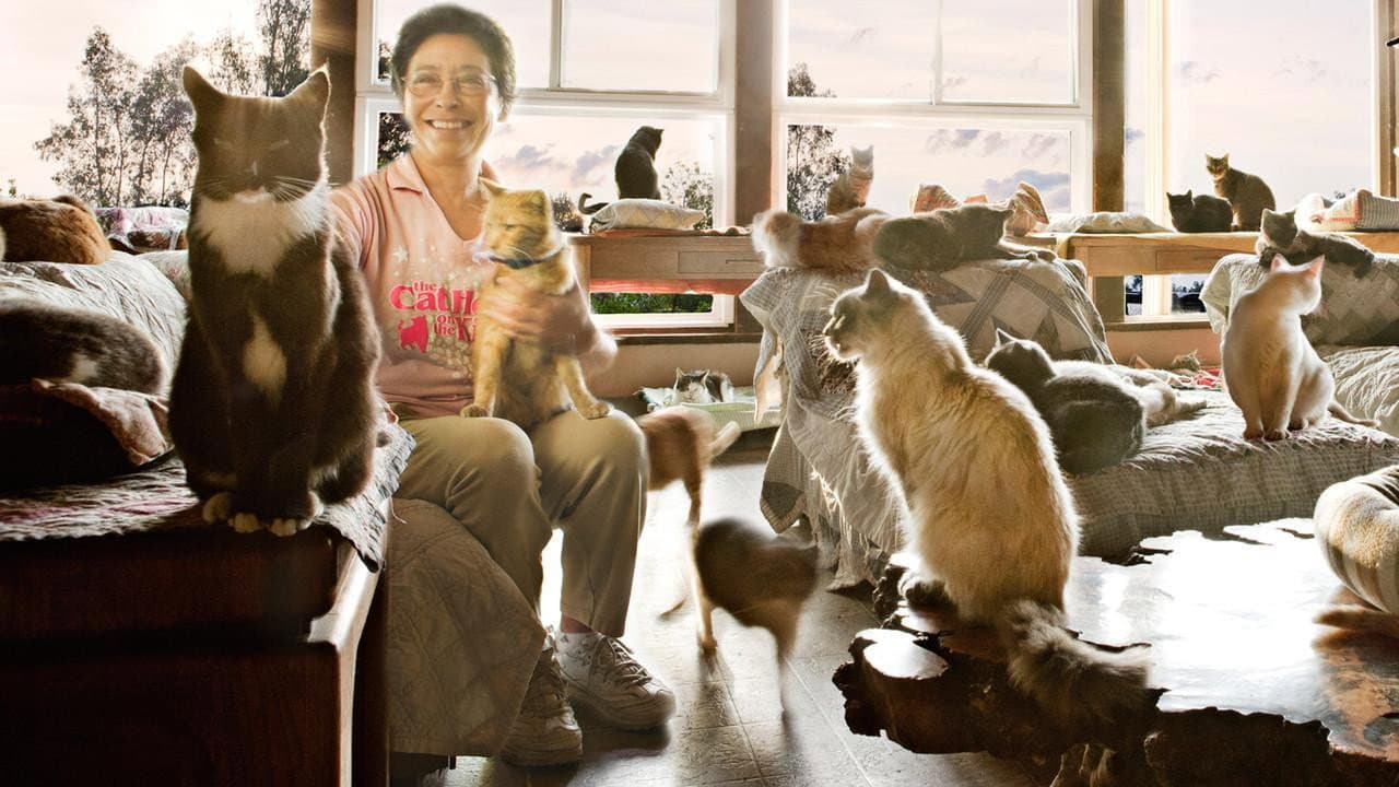 The Lady with 700 Cats - immagine