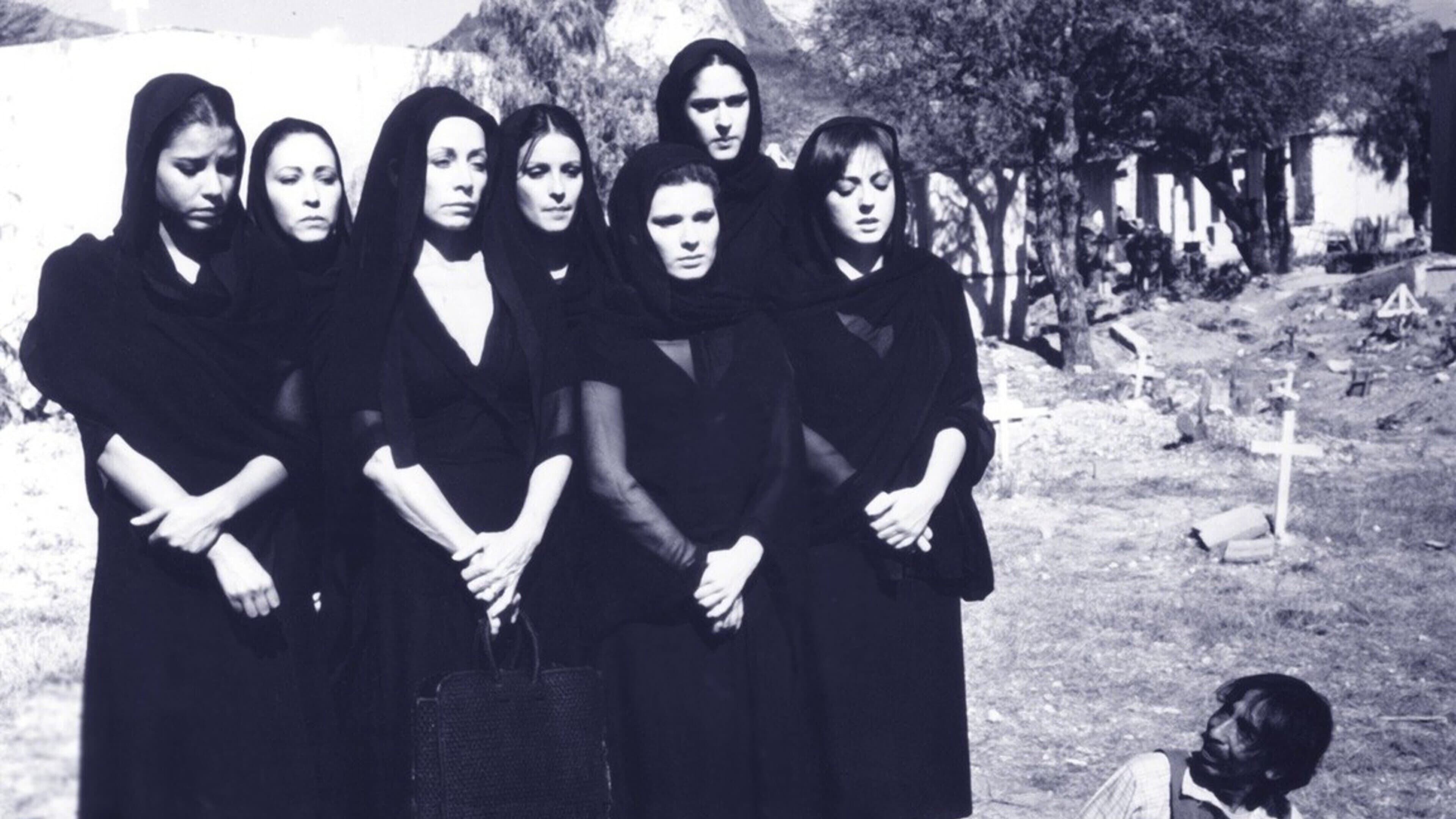 Las siete cucas - immagine