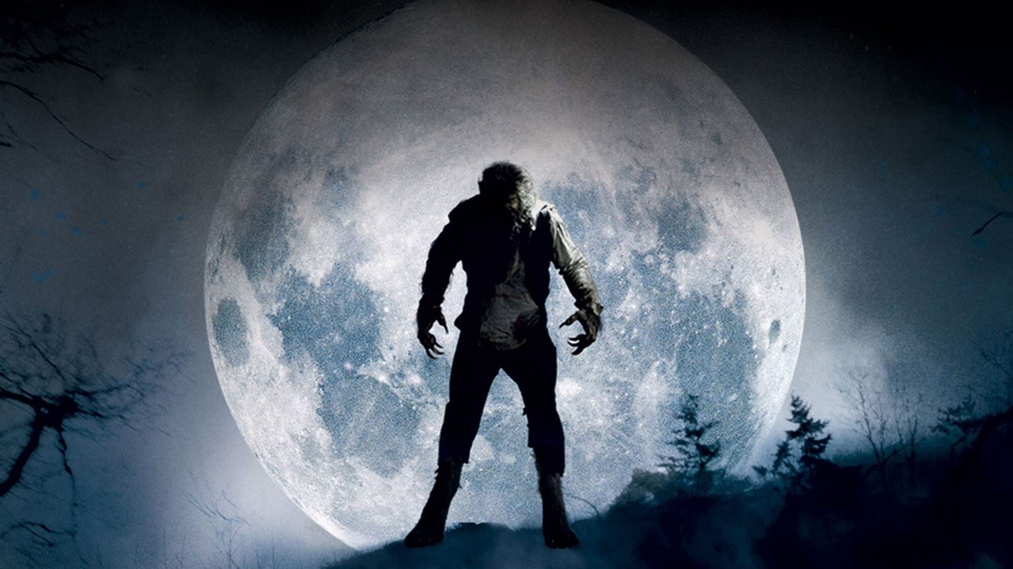 Wolfman - immagine