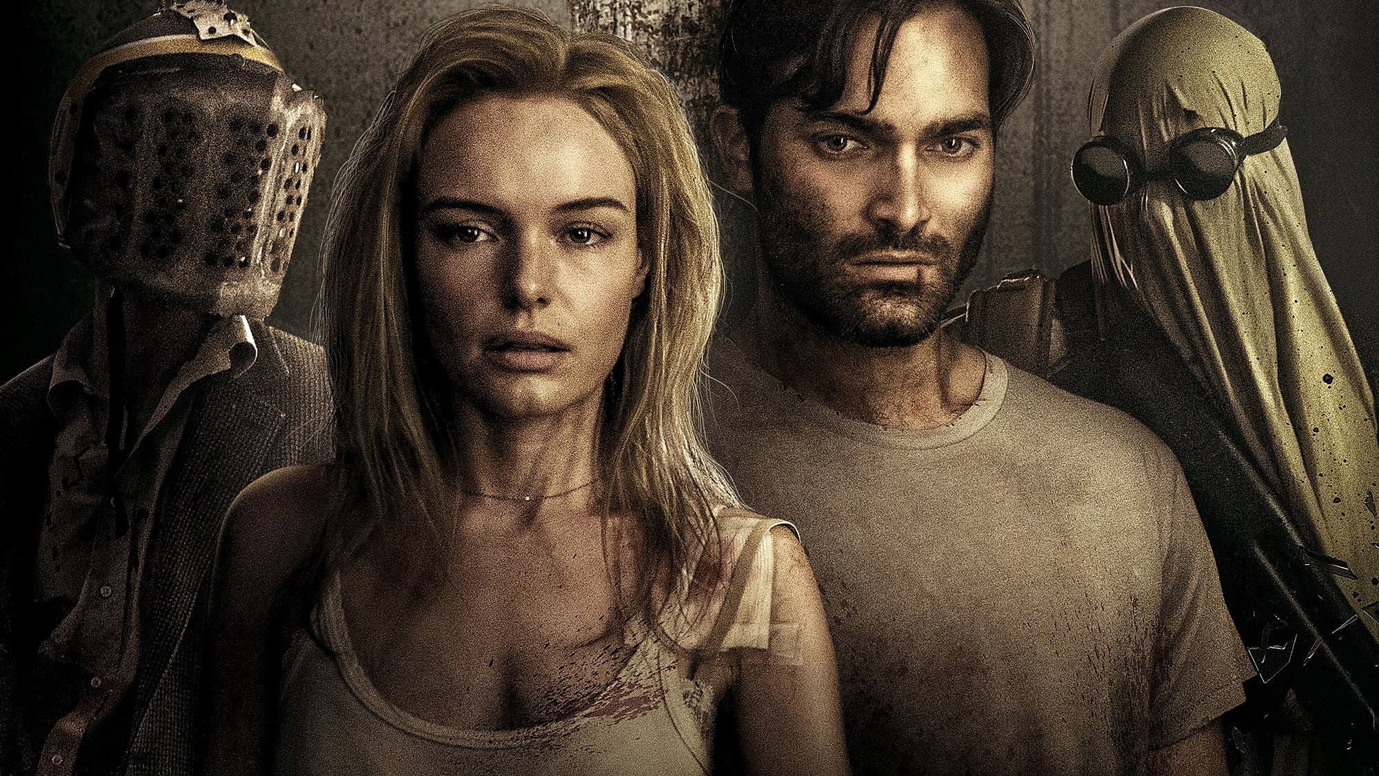 The Domestics - immagine