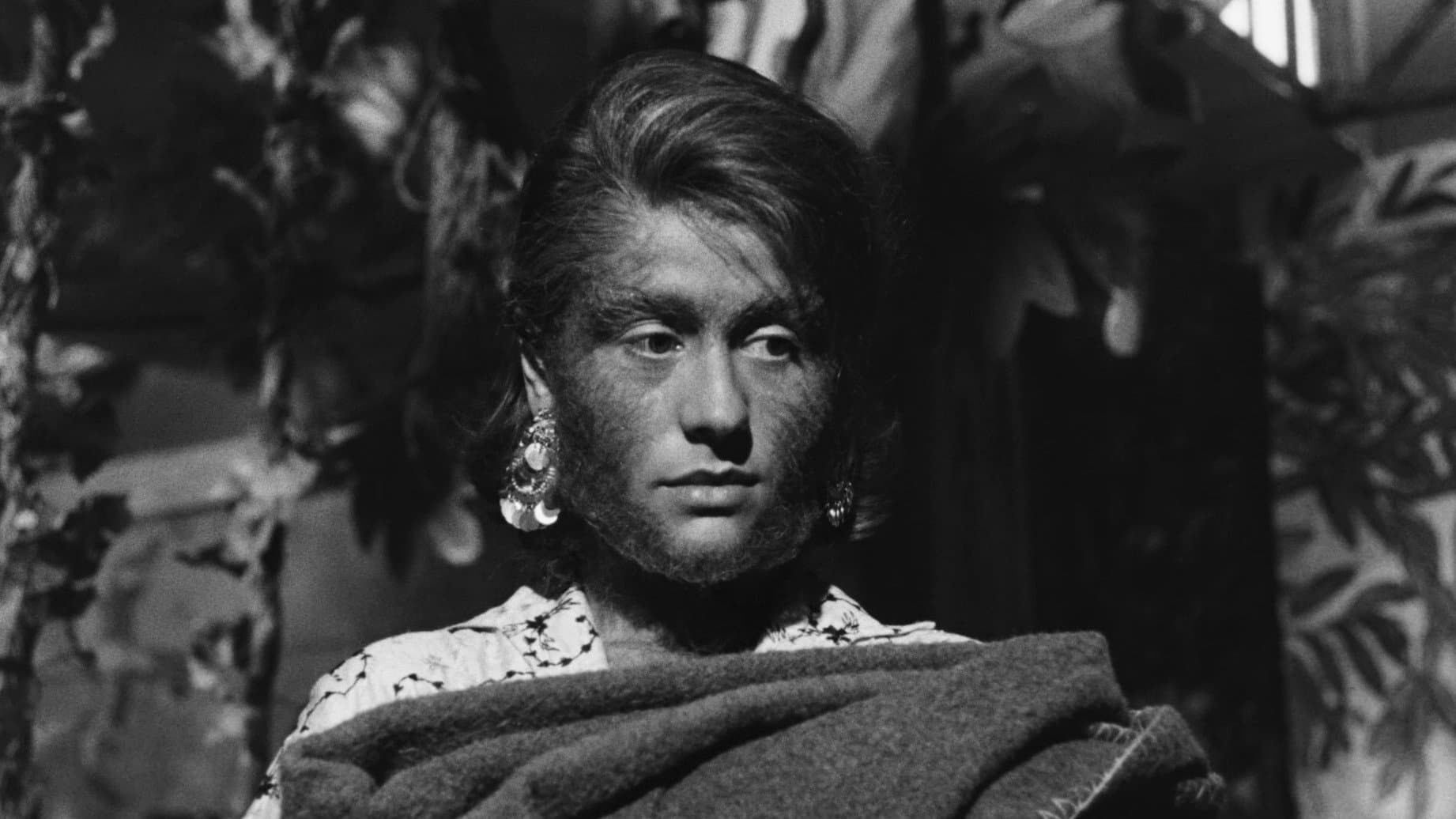 La donna scimmia - immagine