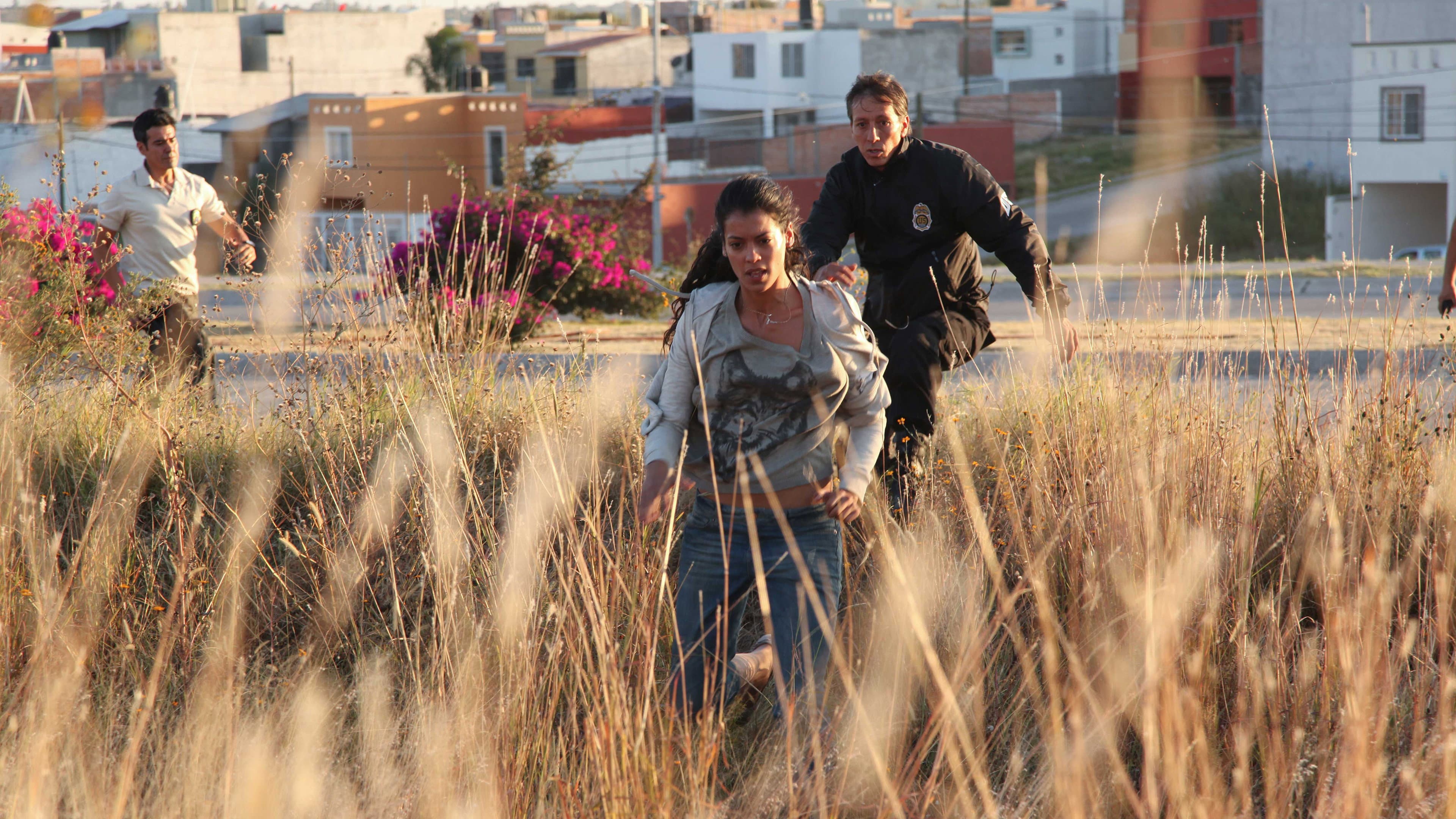 Miss Bala - immagine