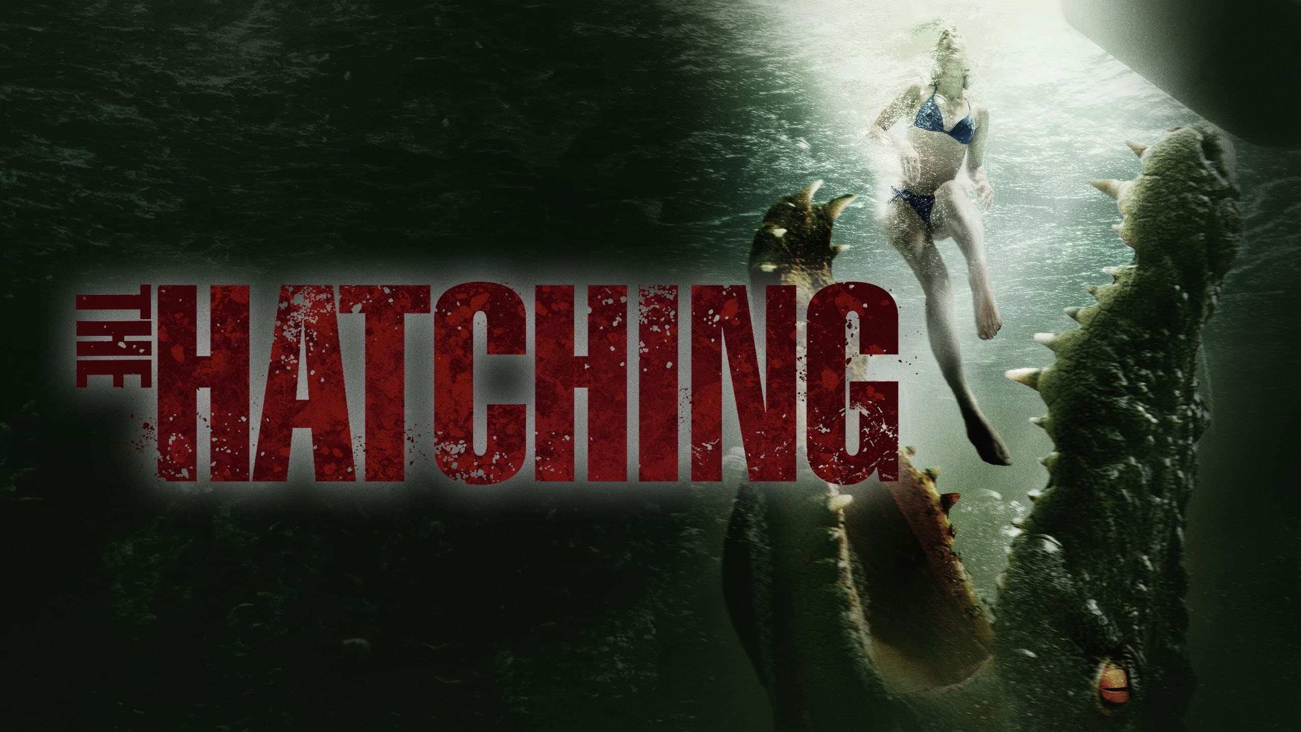 The Hatching - immagine