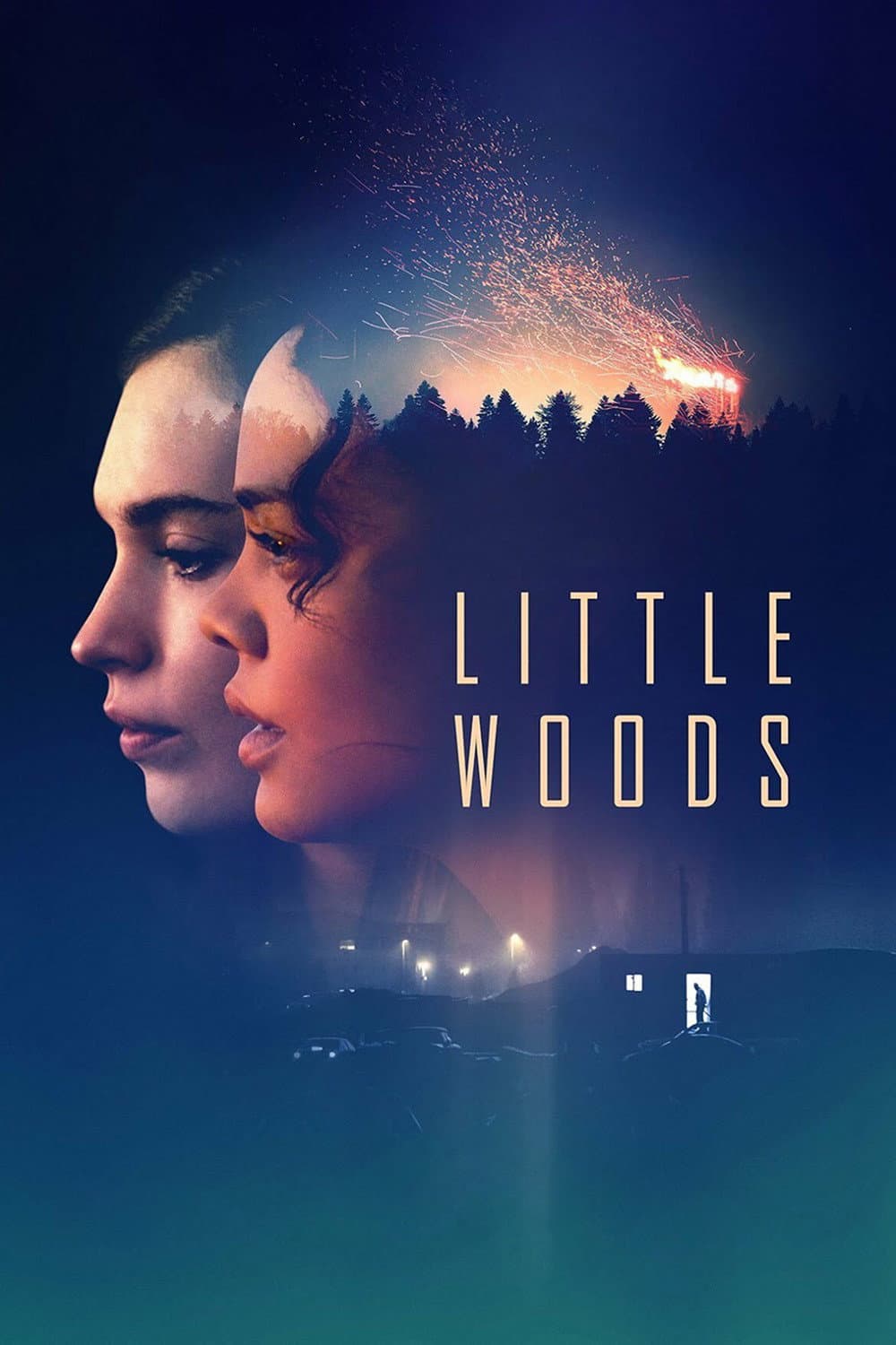 Poster di Little Woods