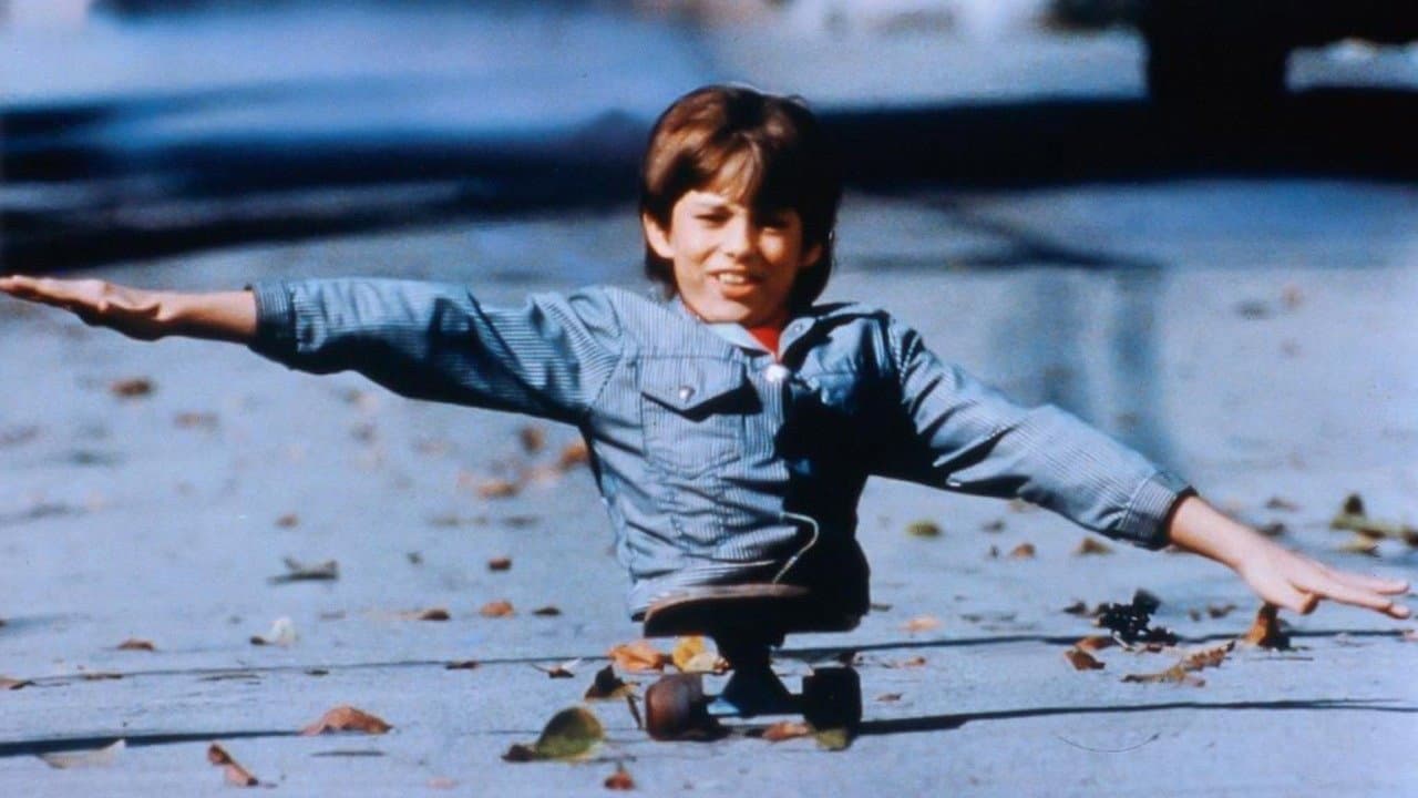 The Kid Brother - immagine