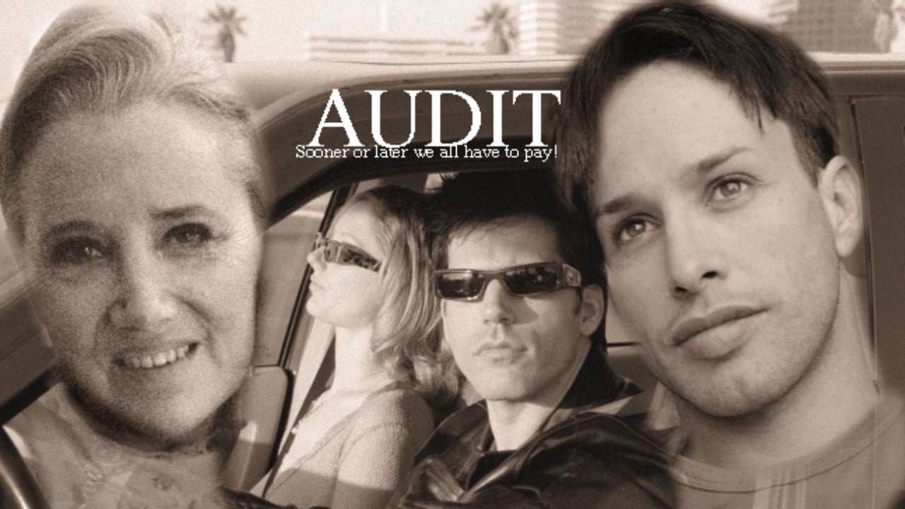 Audit - immagine