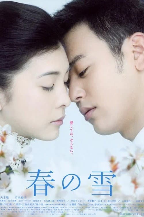 Poster di Snowy Love Fall in Spring