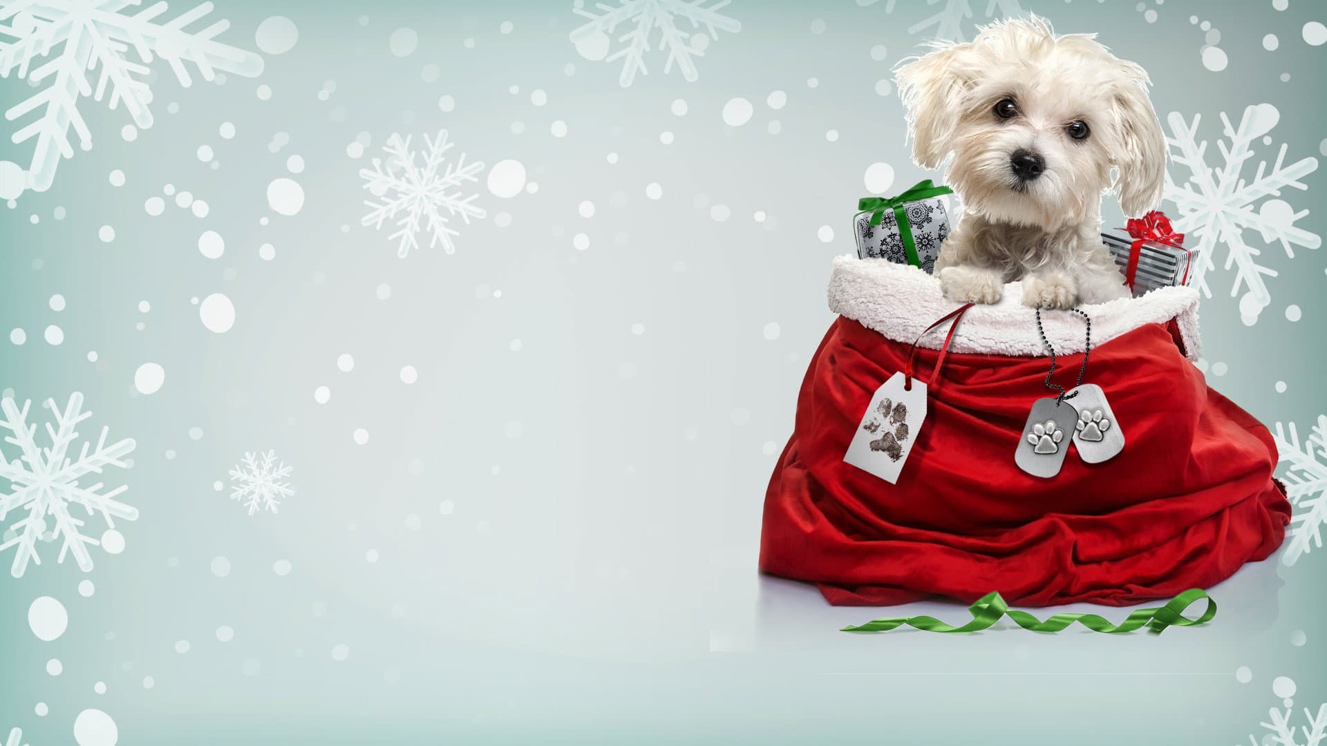Charlie's Christmas Wish - immagine