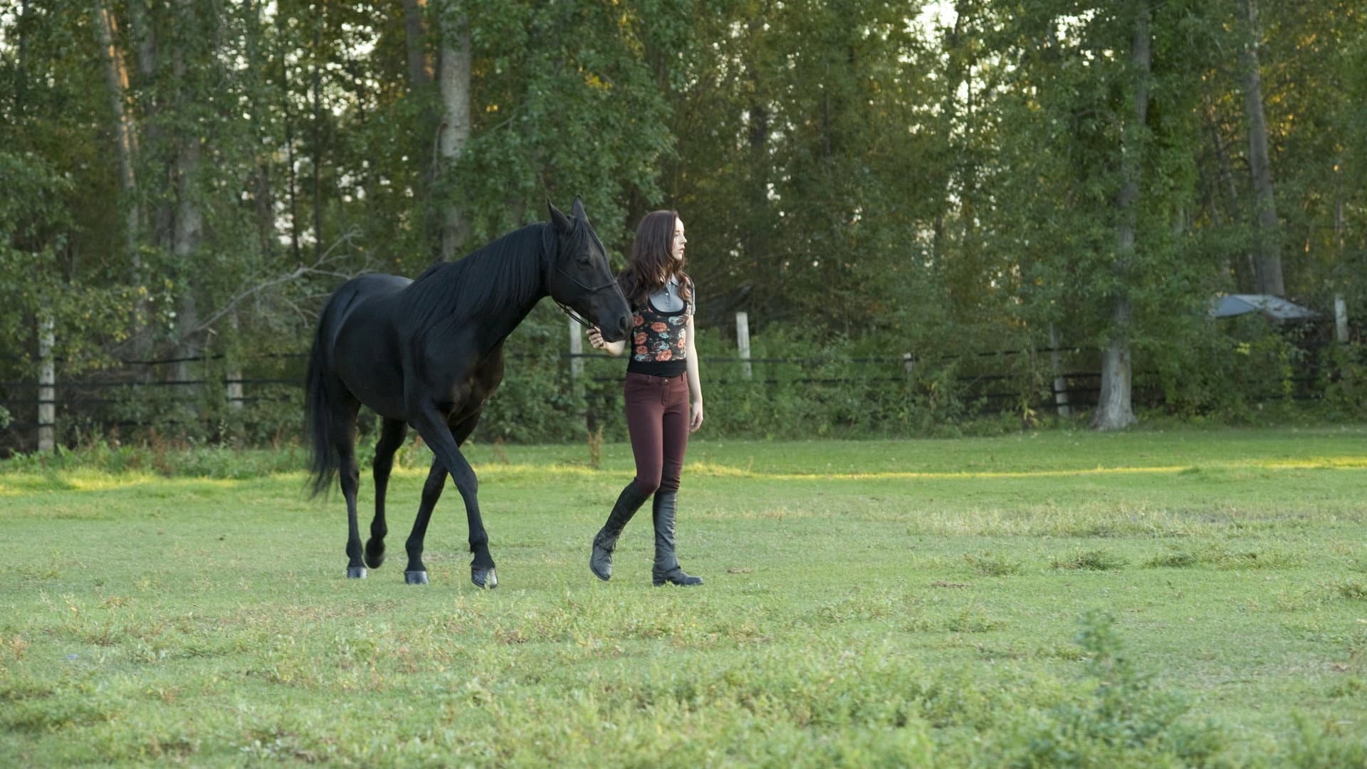 Flicka 3 – Ragazza selvaggia - immagine