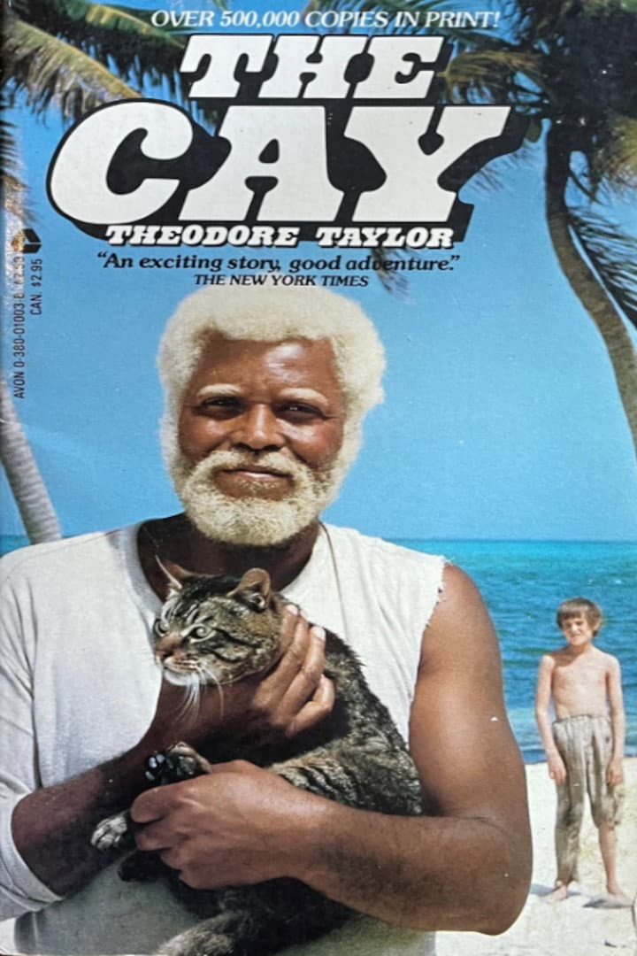 Poster di The Cay