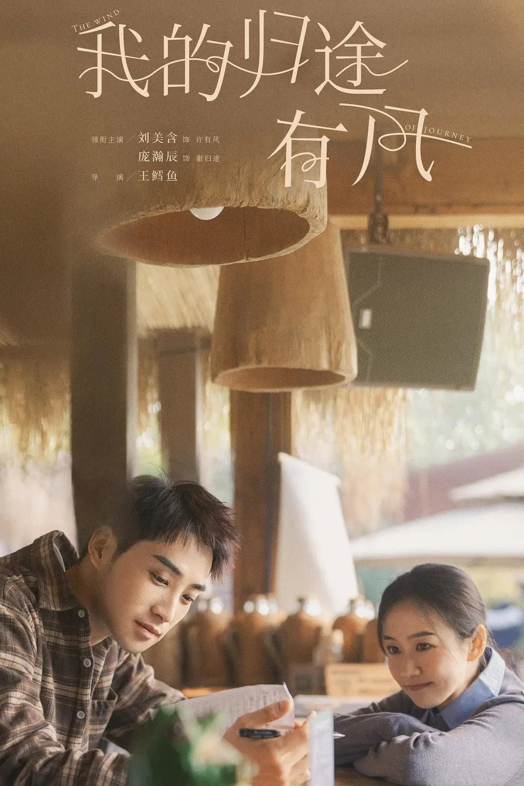 Poster di 我的归途有风