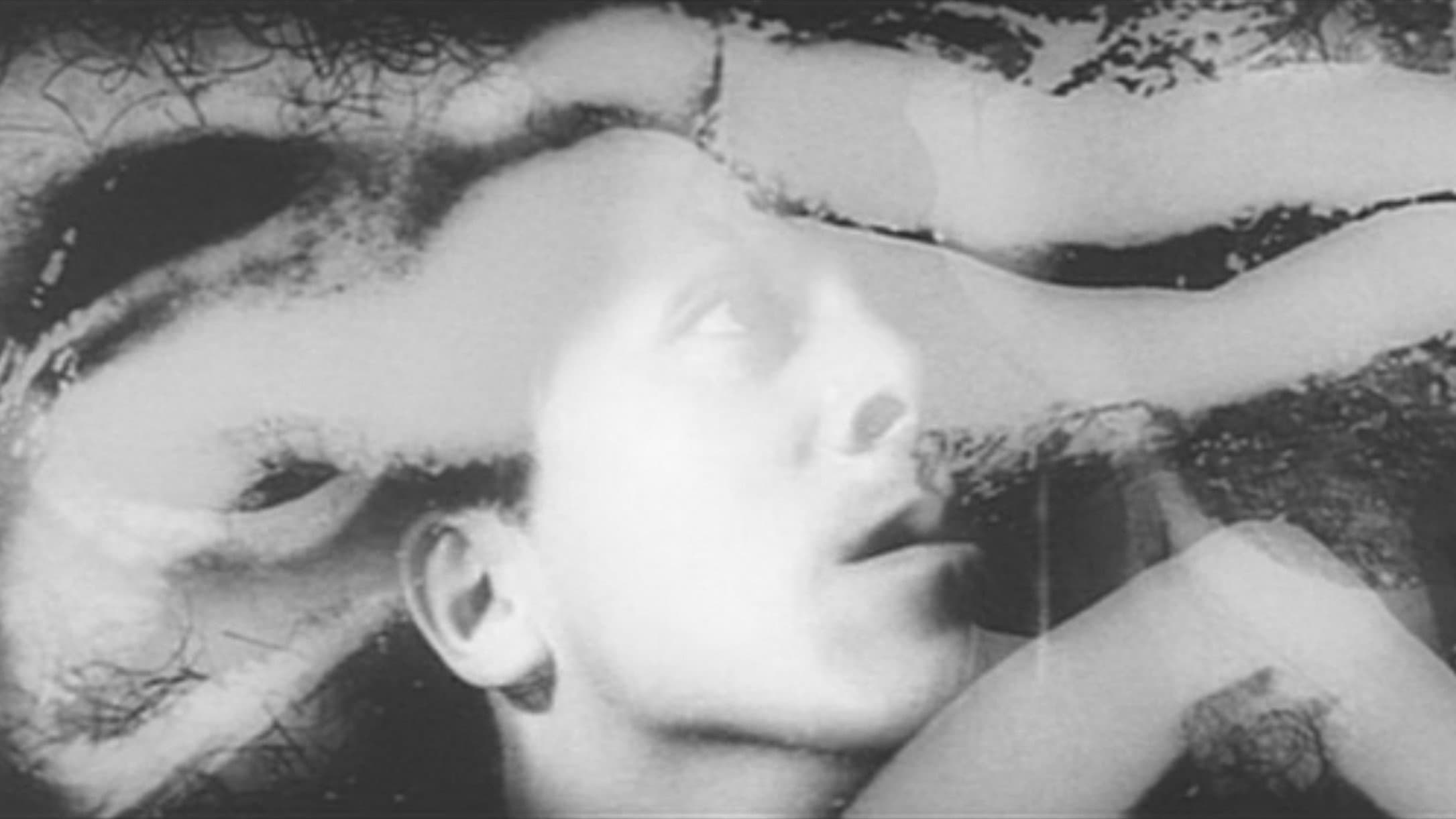 Embrione - immagine