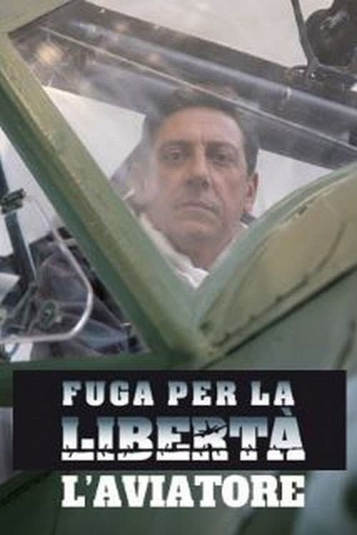 Poster di Fuga per la libertà - L'aviatore