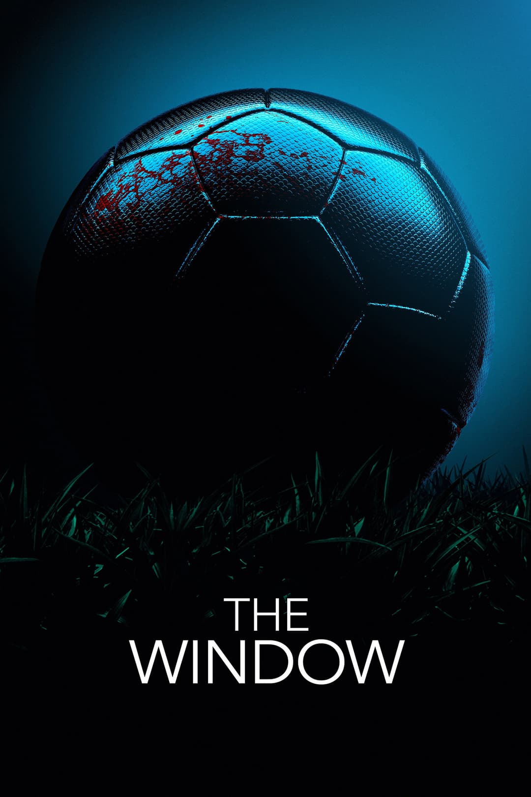 Poster di The Window