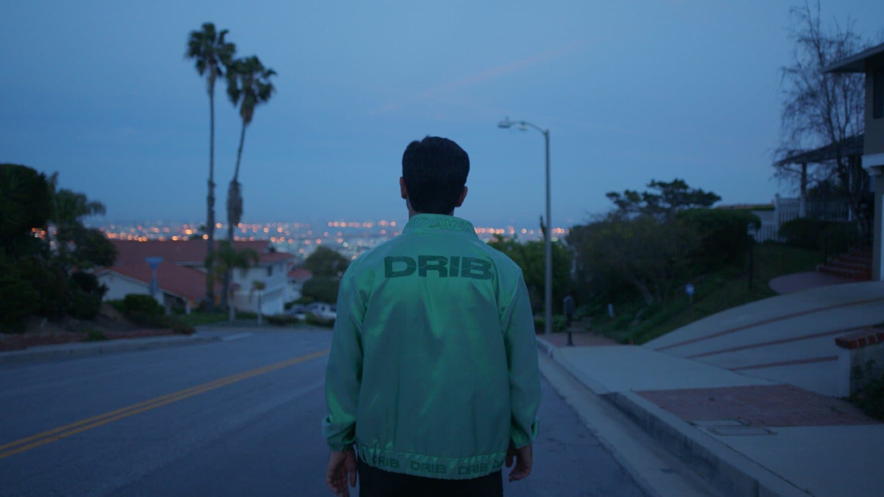 DRIB - immagine