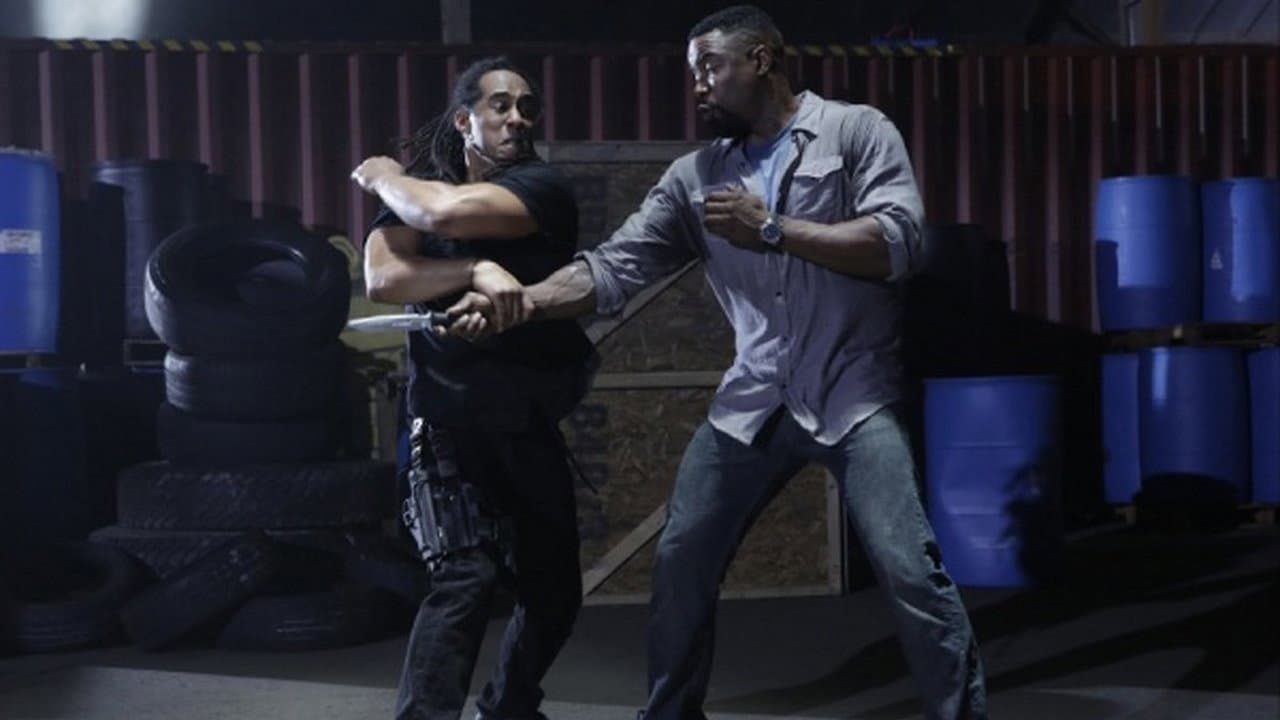 Falcon Rising - immagine