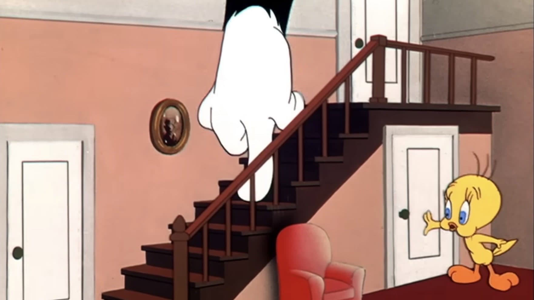 Silvestro ai grandi magazzini - immagine