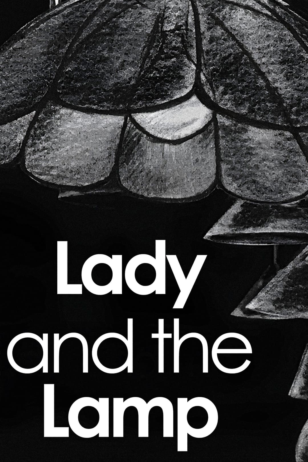 Poster di Lady and the Lamp