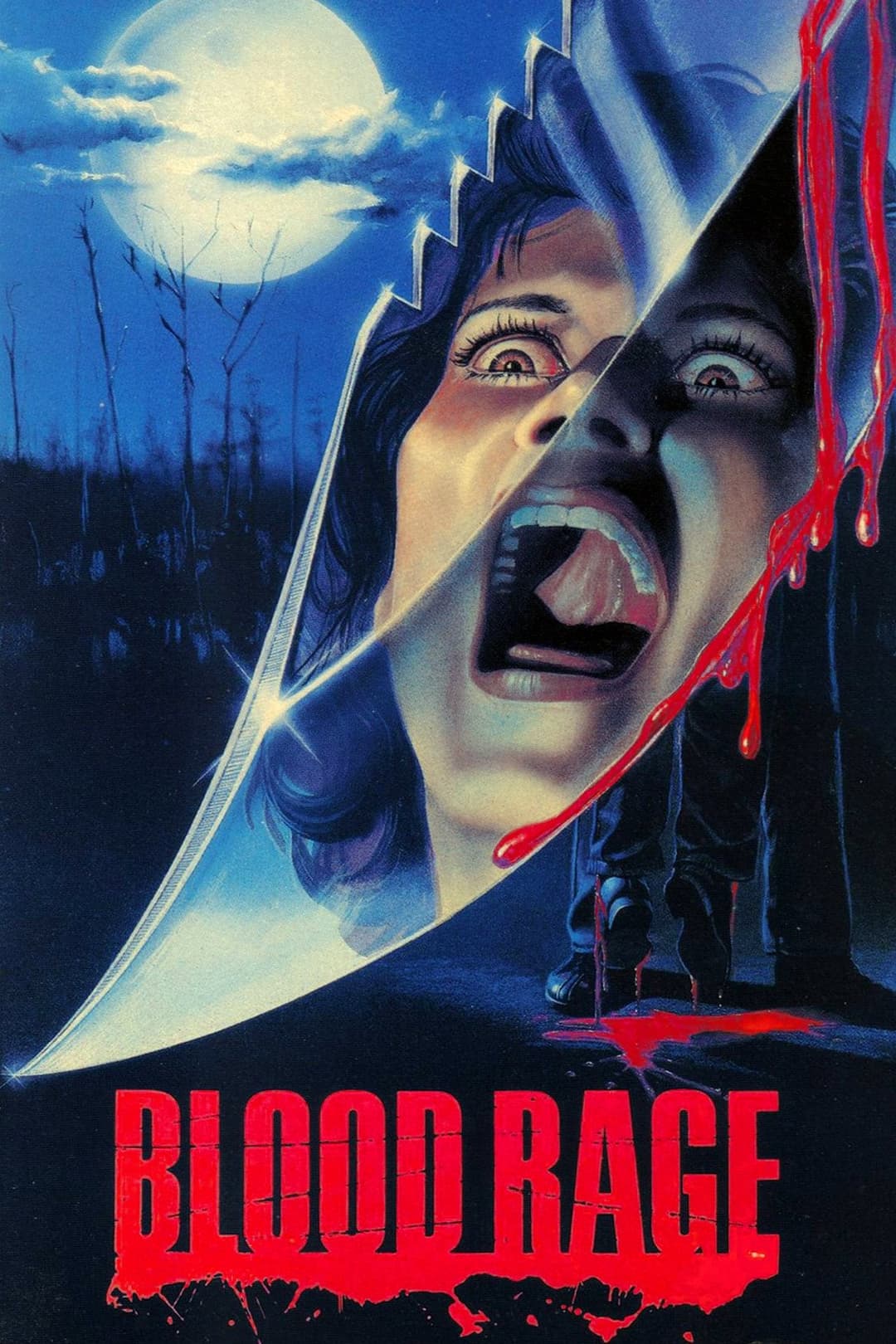 Poster di Nightmare at Shadow Woods