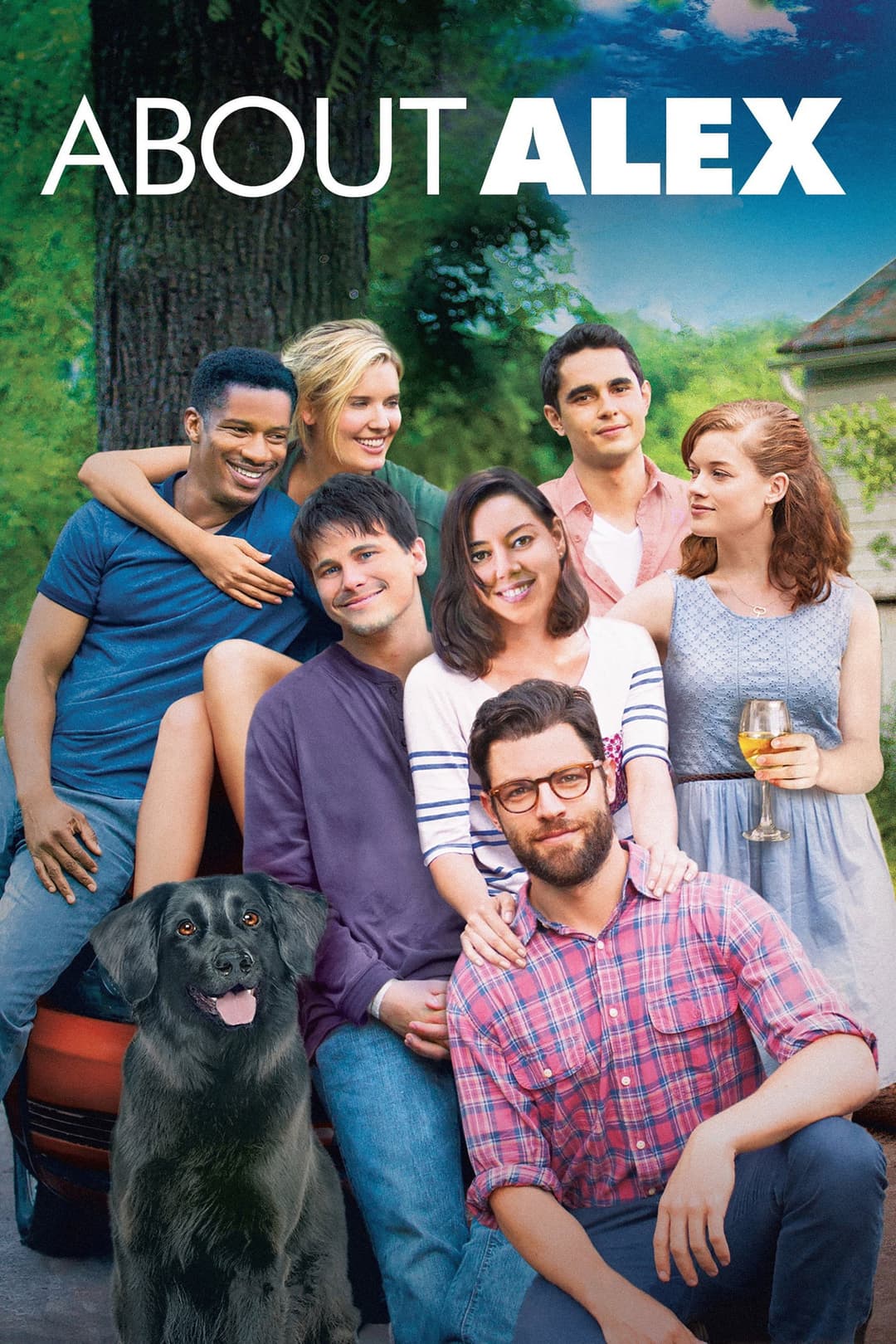 Poster di About Alex
