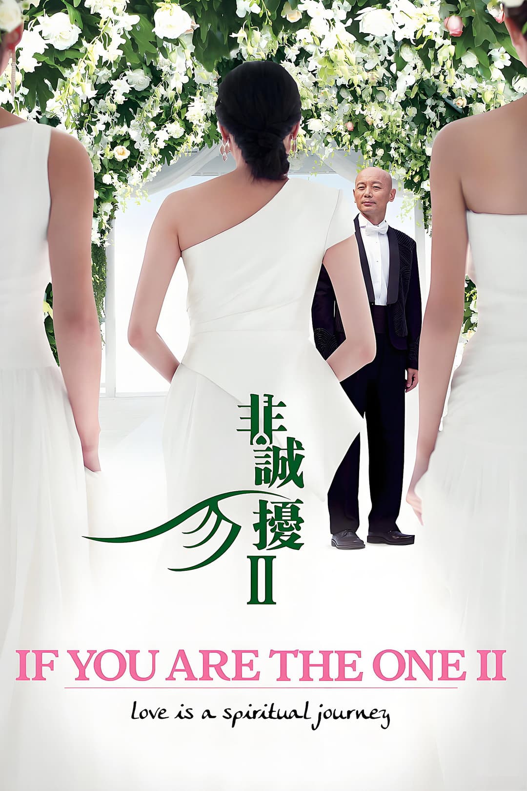 Poster di 非诚勿扰2