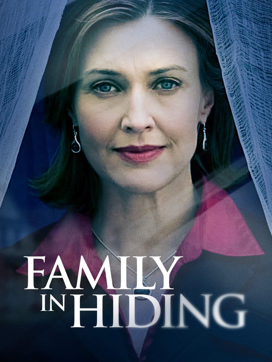 Poster di Family in Hiding
