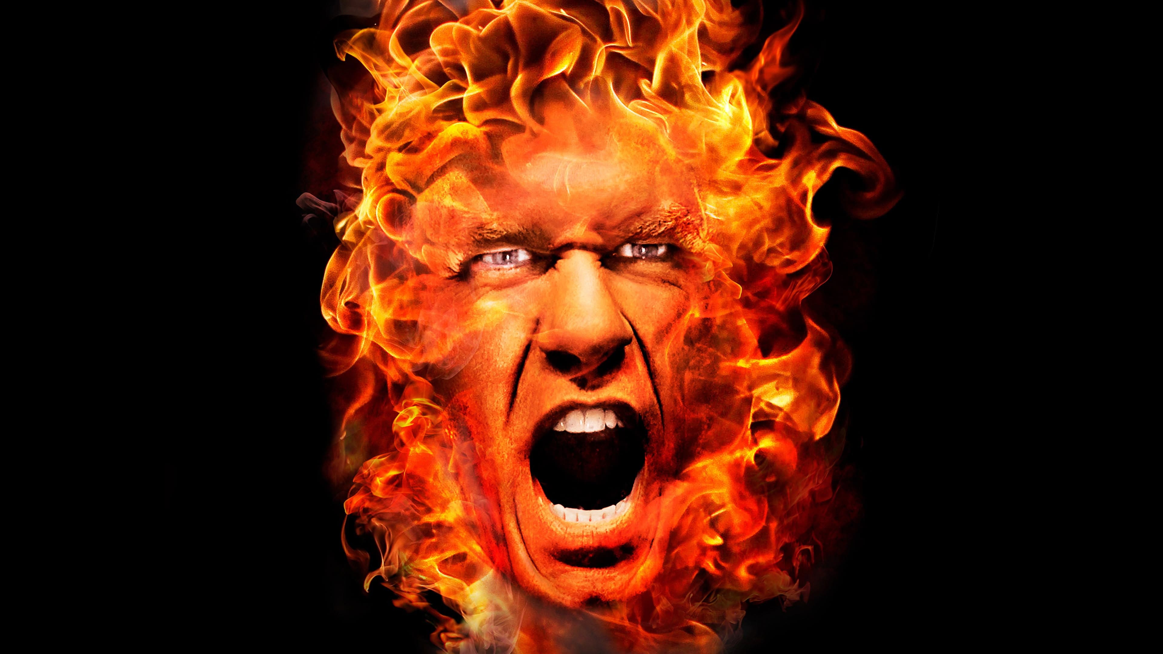 WWE Hell in a Cell 2011 - immagine