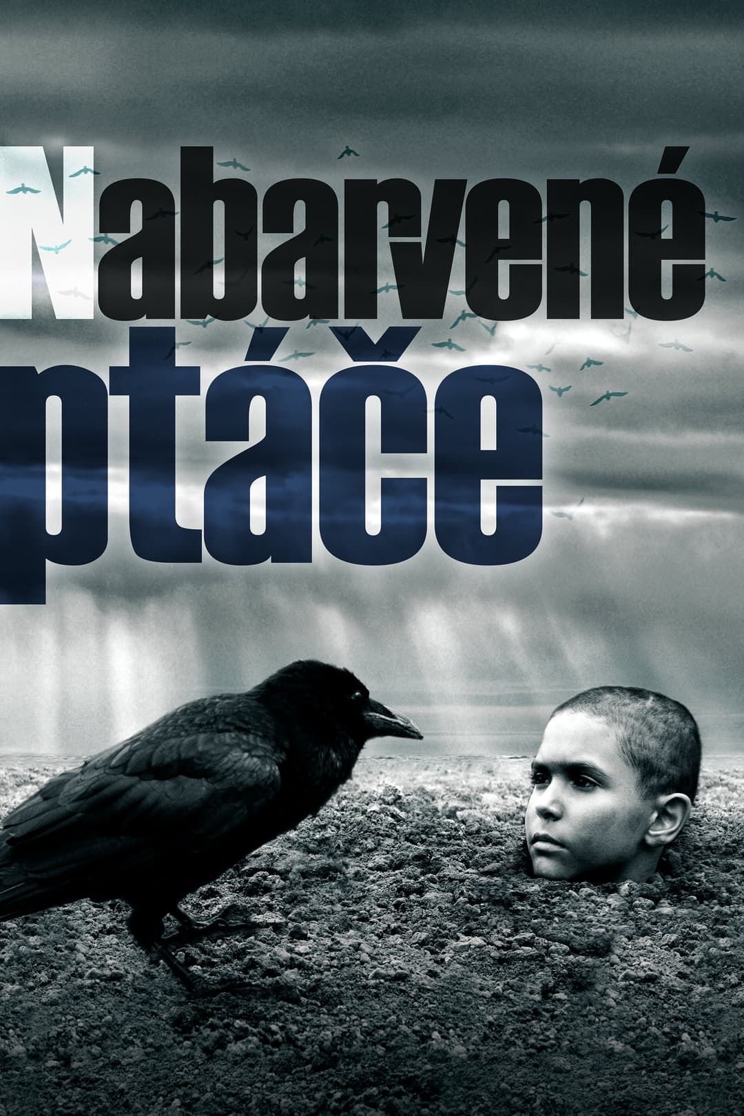 Poster di The Painted Bird - Nabarvené ptáče