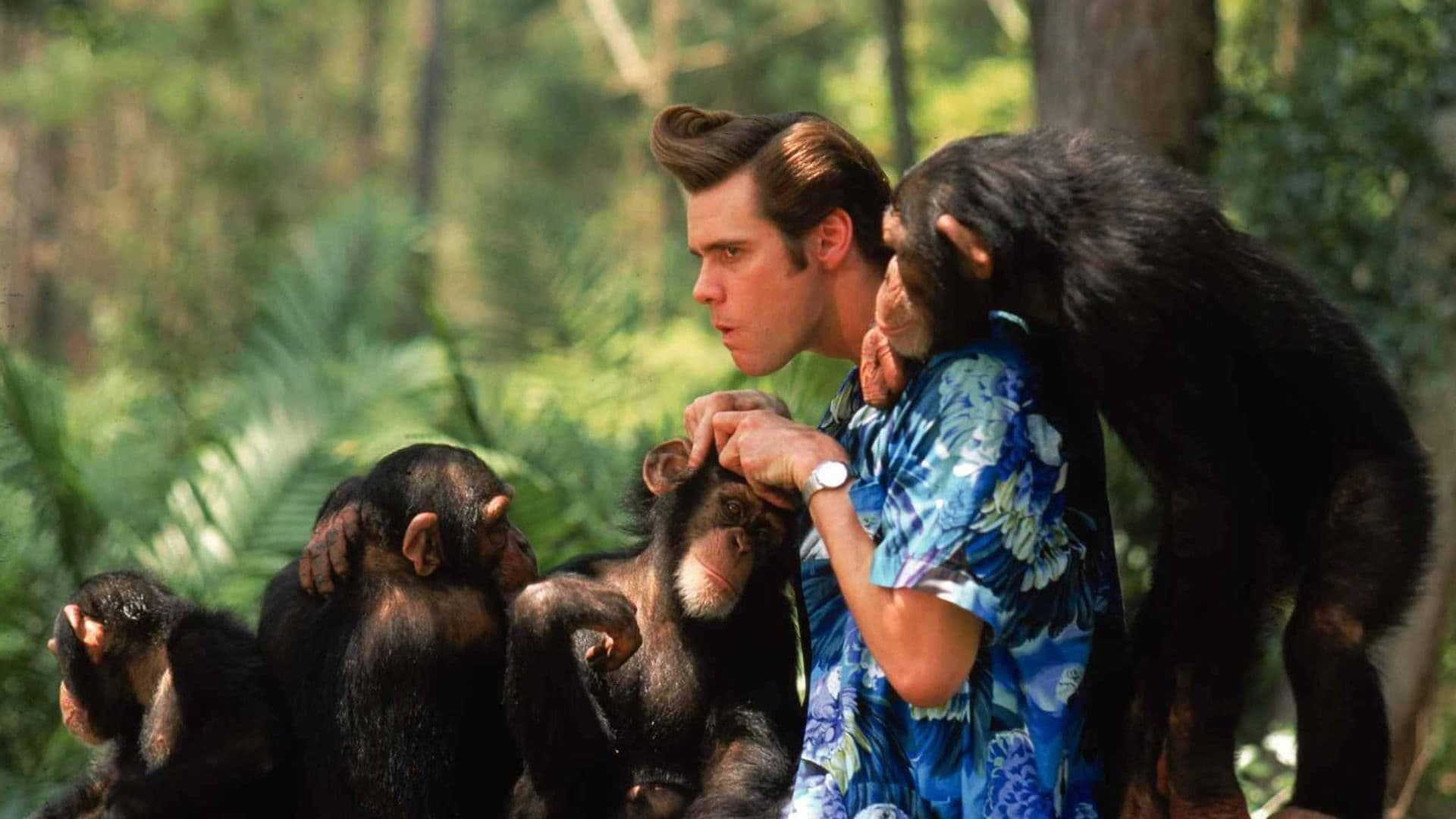 Ace Ventura - Missione Africa - immagine