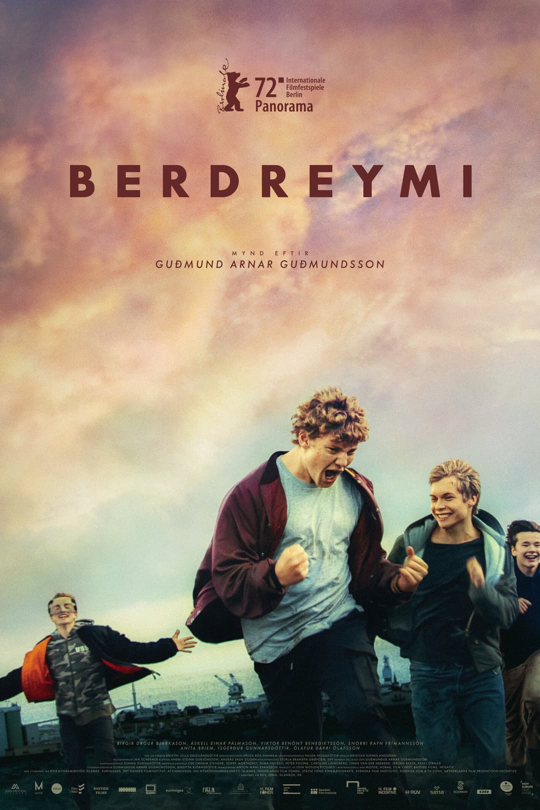 Poster di Berdreymi