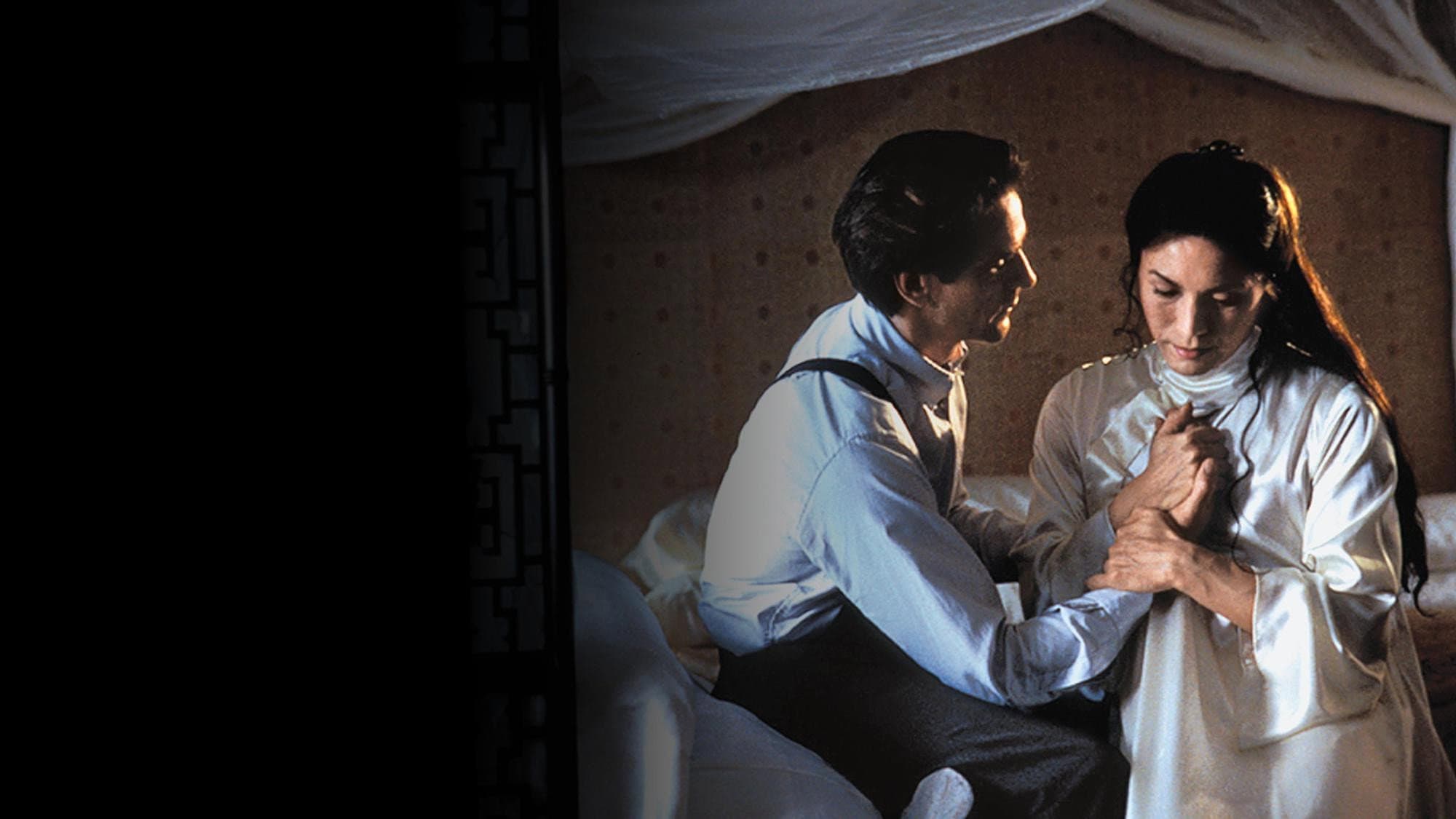 M. Butterfly - immagine