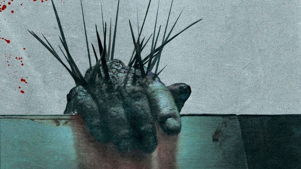 Splinter - immagine