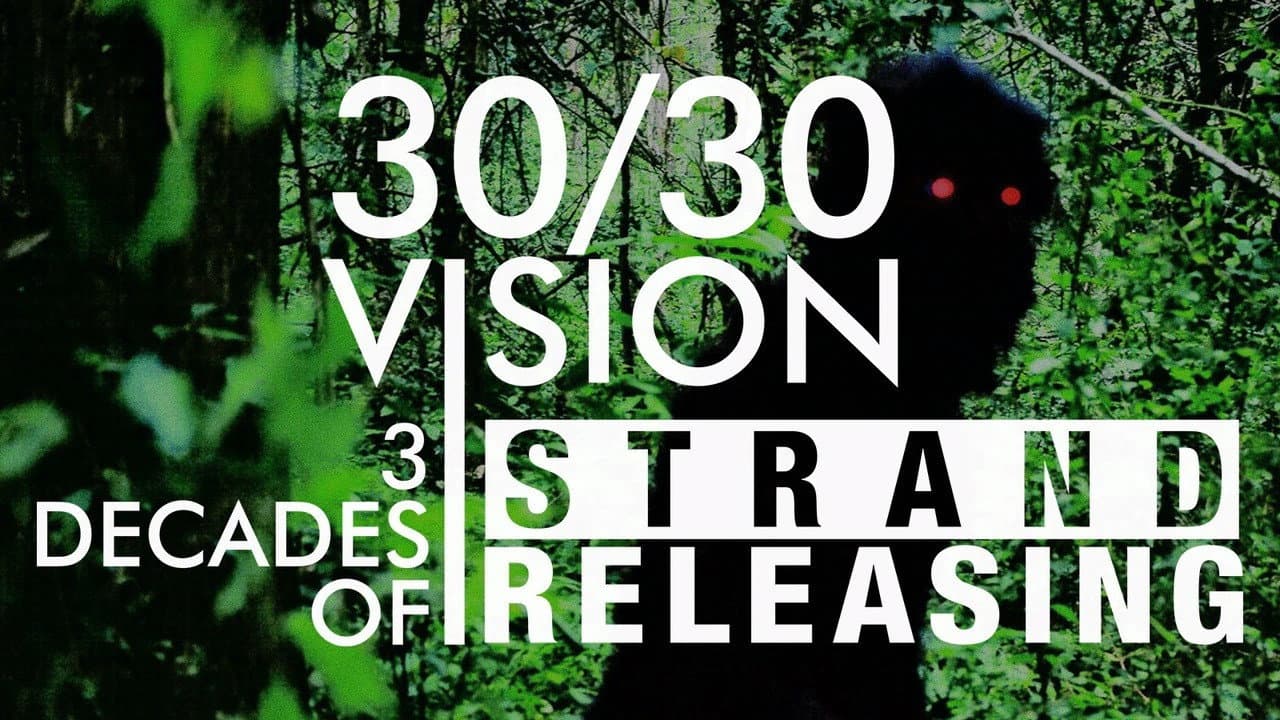 30/30 Vision: Three Decades of Strand Releasing - immagine