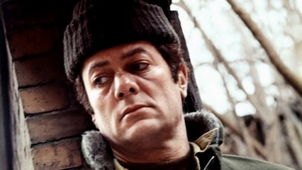 Lo strangolatore di Boston - immagine